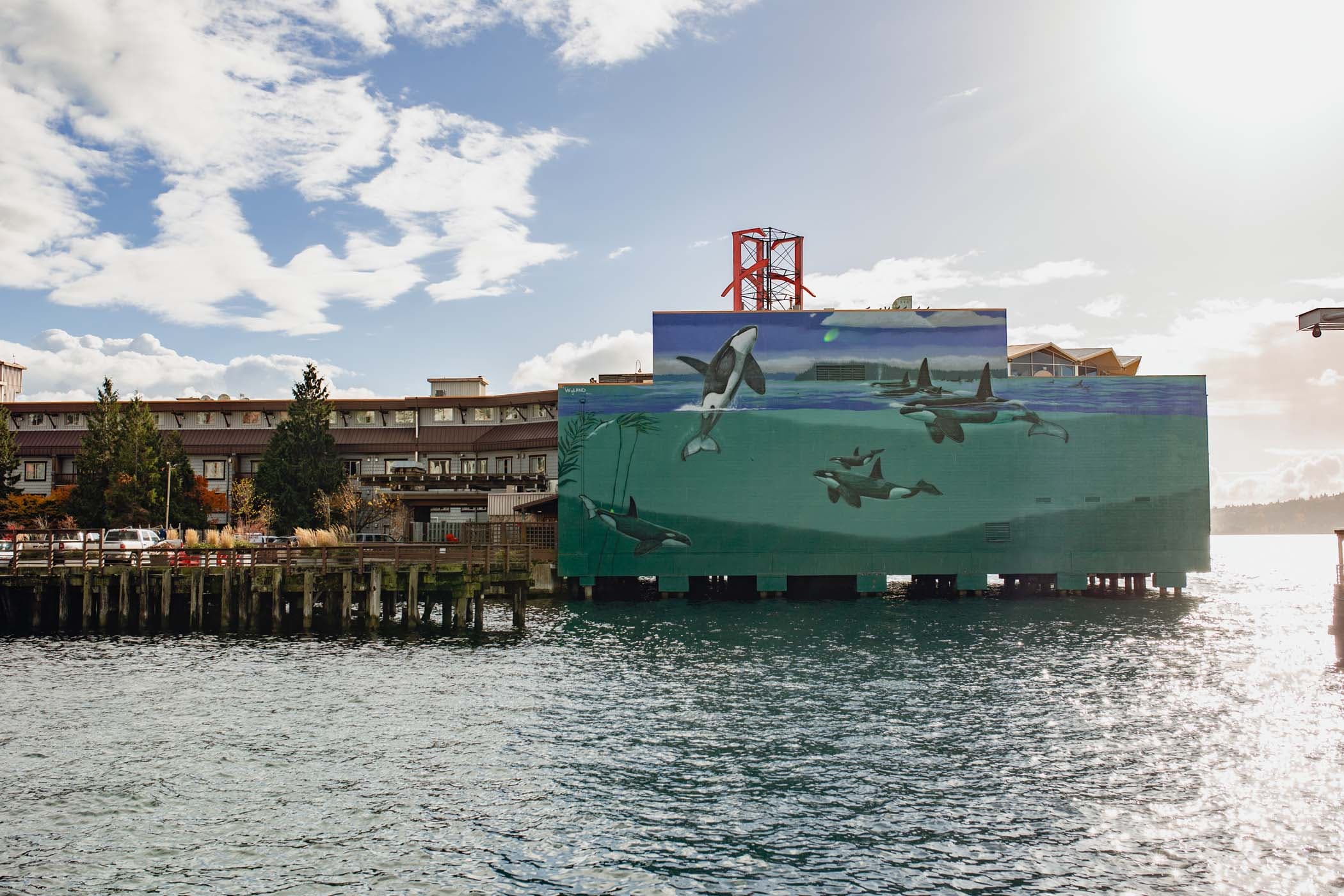 A large mural of wales in the harbour