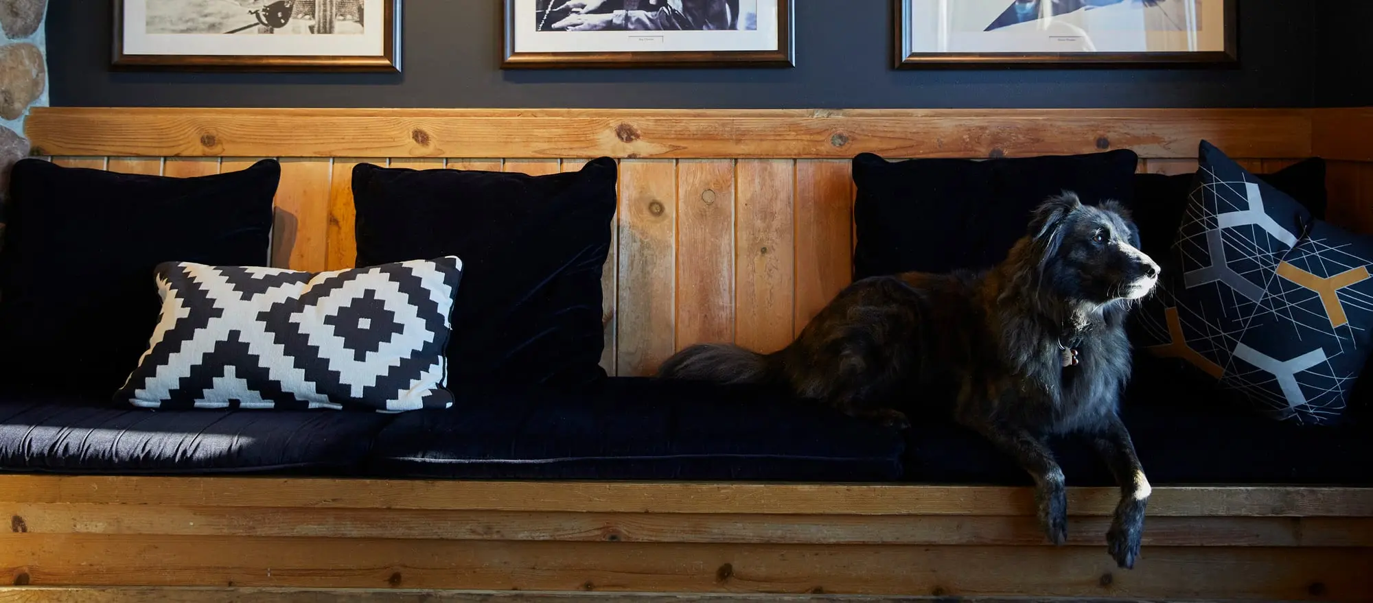 A dog on a bench inside Edgewater Hotel
